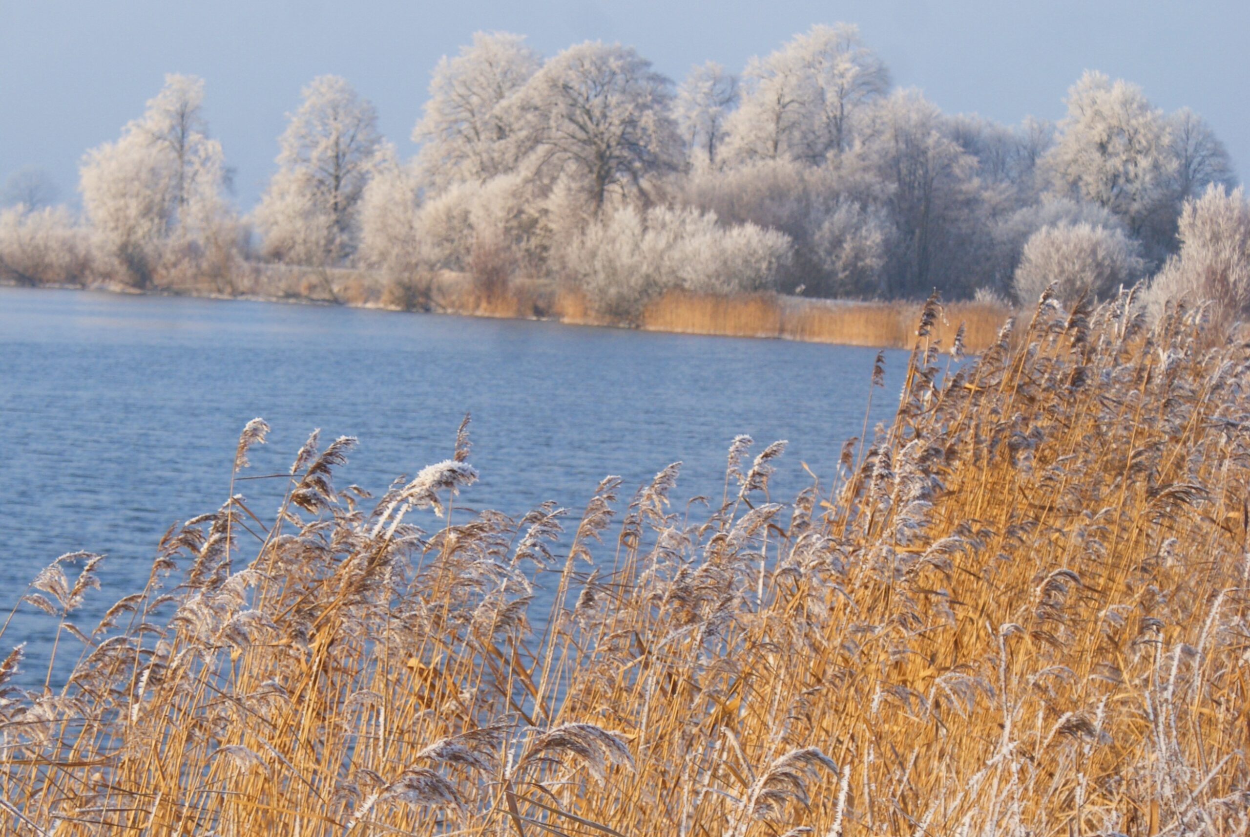 O Żuławach Wiślańskich słów kilka. Visit Żuławy
